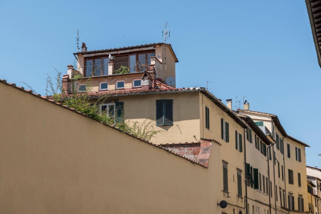 Terrazza Coccode' Spazioso Con Vista Mozzafiato! Lucca Luaran gambar