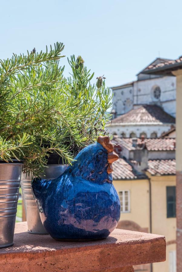 Terrazza Coccode' Spazioso Con Vista Mozzafiato! Lucca Luaran gambar